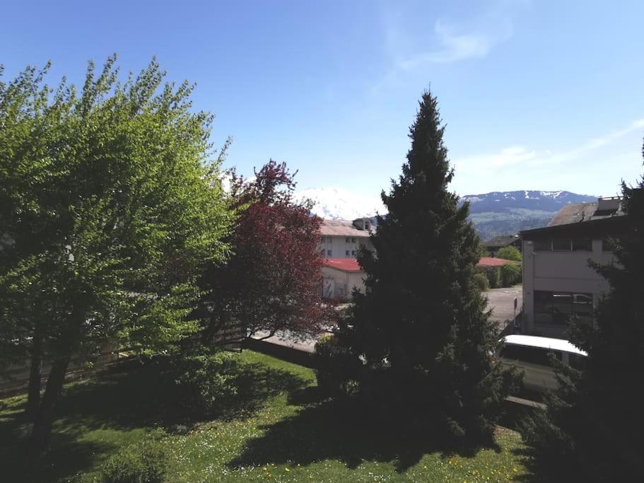 Super Appartement Cocooning Vu Mont Blanc Sallanches Exterior photo