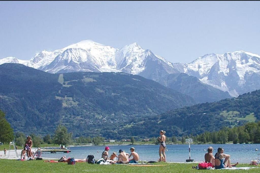 Super Appartement Cocooning Vu Mont Blanc Sallanches Exterior photo